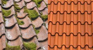 How to remove moss from the roof with detergent and baking soda