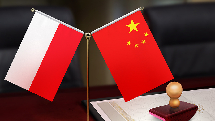 China, Poland vow to further strengthen and expand bilateral exchanges