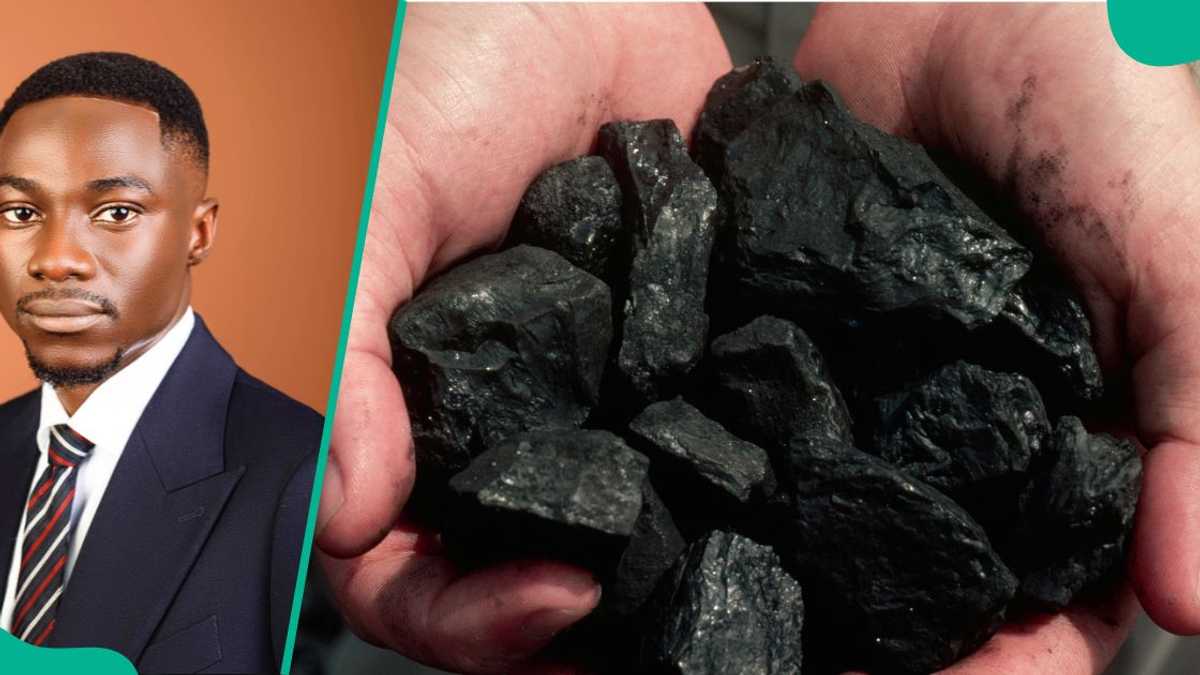 Nigeria’s Charcoal Exports: How Poor Regulation is Costing Billions in Lost Value