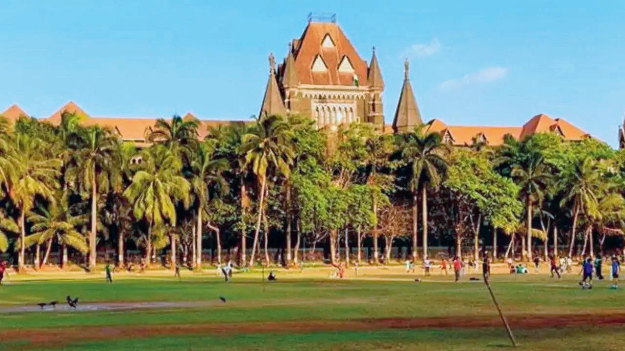 Mumbai: High Court rejects PIL on Hyderabad Gazette usage to prove caste