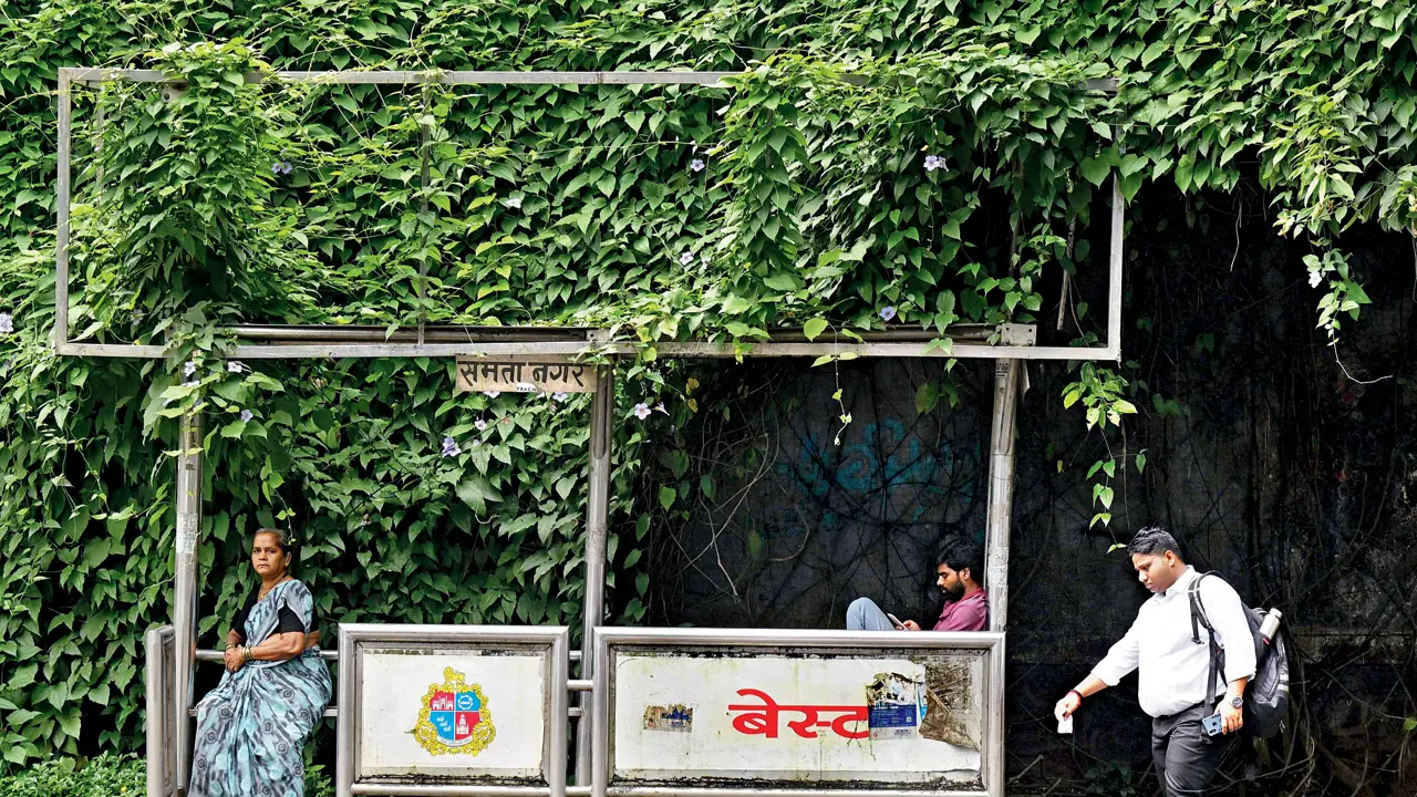 Mumbai Diary: Friday Dossier